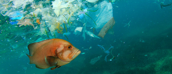 Inquinamento Dell'acqua Le Cause E Le Conseguenze