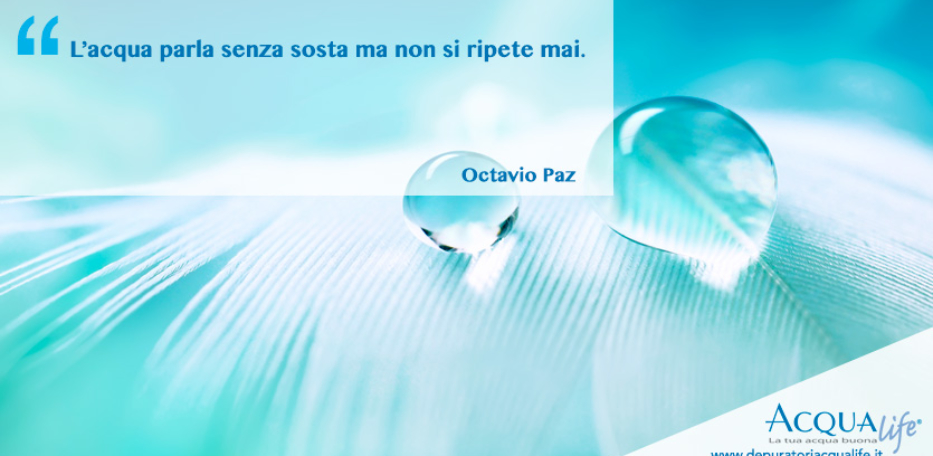 Frasi sull&#39;acqua [Immagini da scaricare gratis e da condividere 😜]