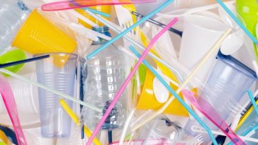 Eliminazione della plastica monouso-direttive UE