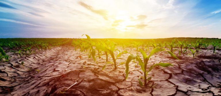 Test e verifiche di impianti e dispositivi per l'acqua potabile