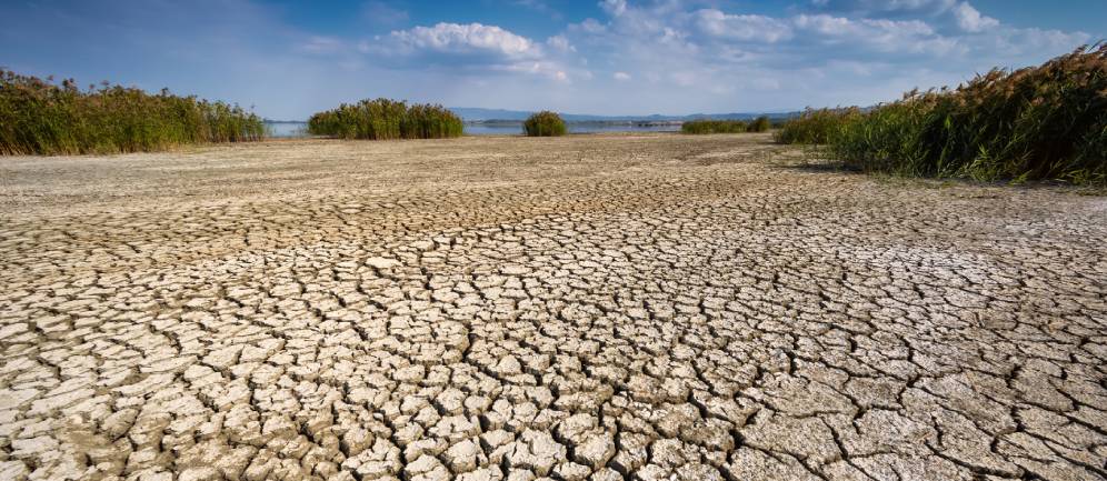 la siccità sarà un fattore importante nel futuro