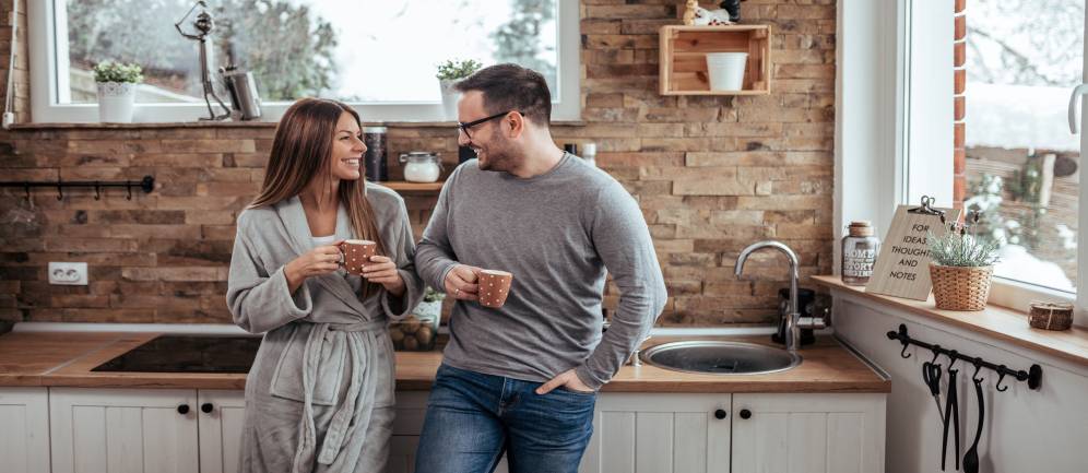 i benefici di disporre di un purificatore domestico